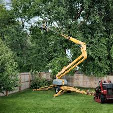 Best Seasonal Cleanup (Spring/Fall)  in Moorpark, CA