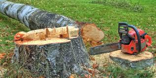 Best Tree Mulching  in Moorpark, CA