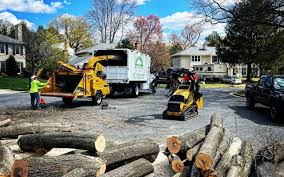 Best Grass Overseeding  in Moorpark, CA